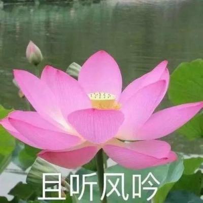 清华北大共同发讣告:刘桂生逝世